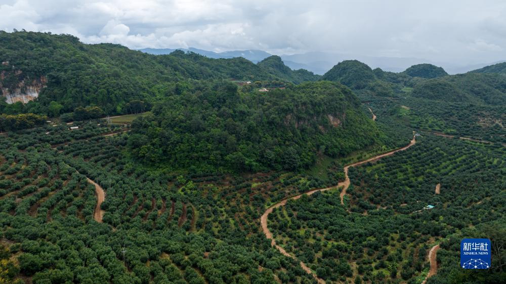 博美登录地址